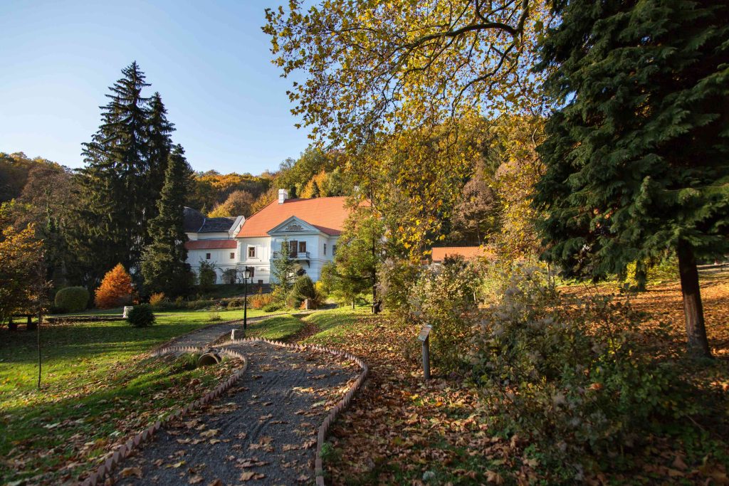 1. ELSŐ KÉP_KÜLSŐ_MG_9109