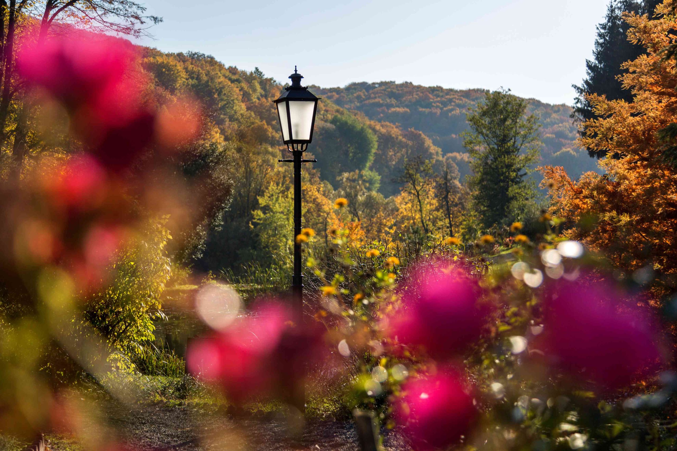 4.KÖRNYEZET_MG_9049