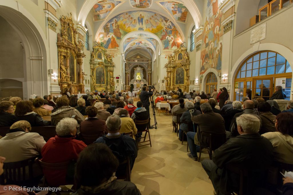 425_1599_zoomed_zarandoklat-28 (1)