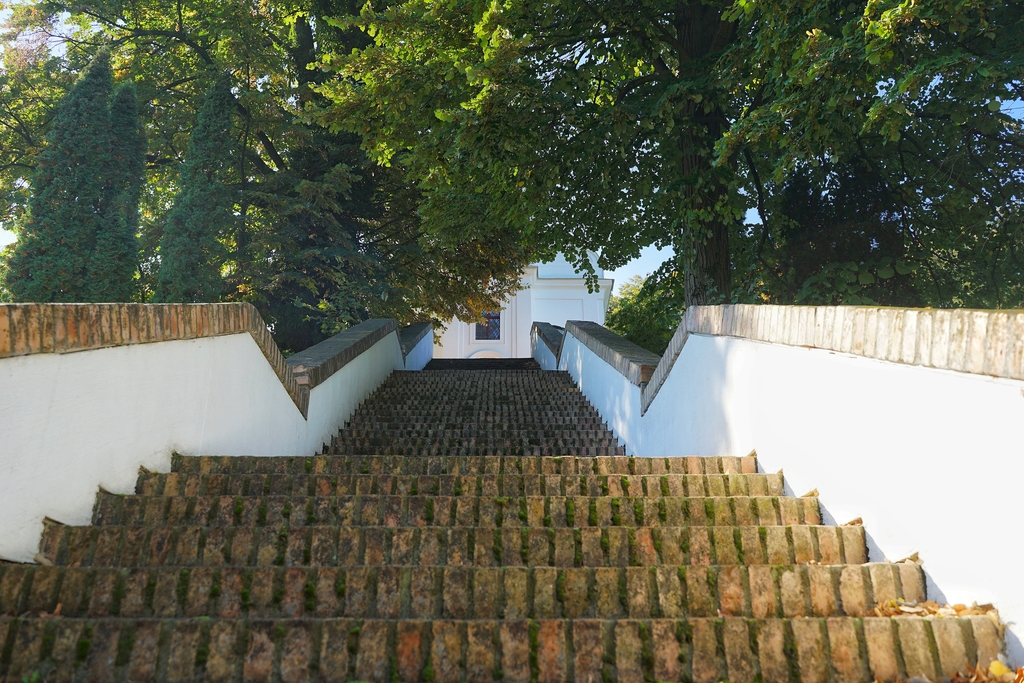 V_V08164_edited.jpeg_másolata