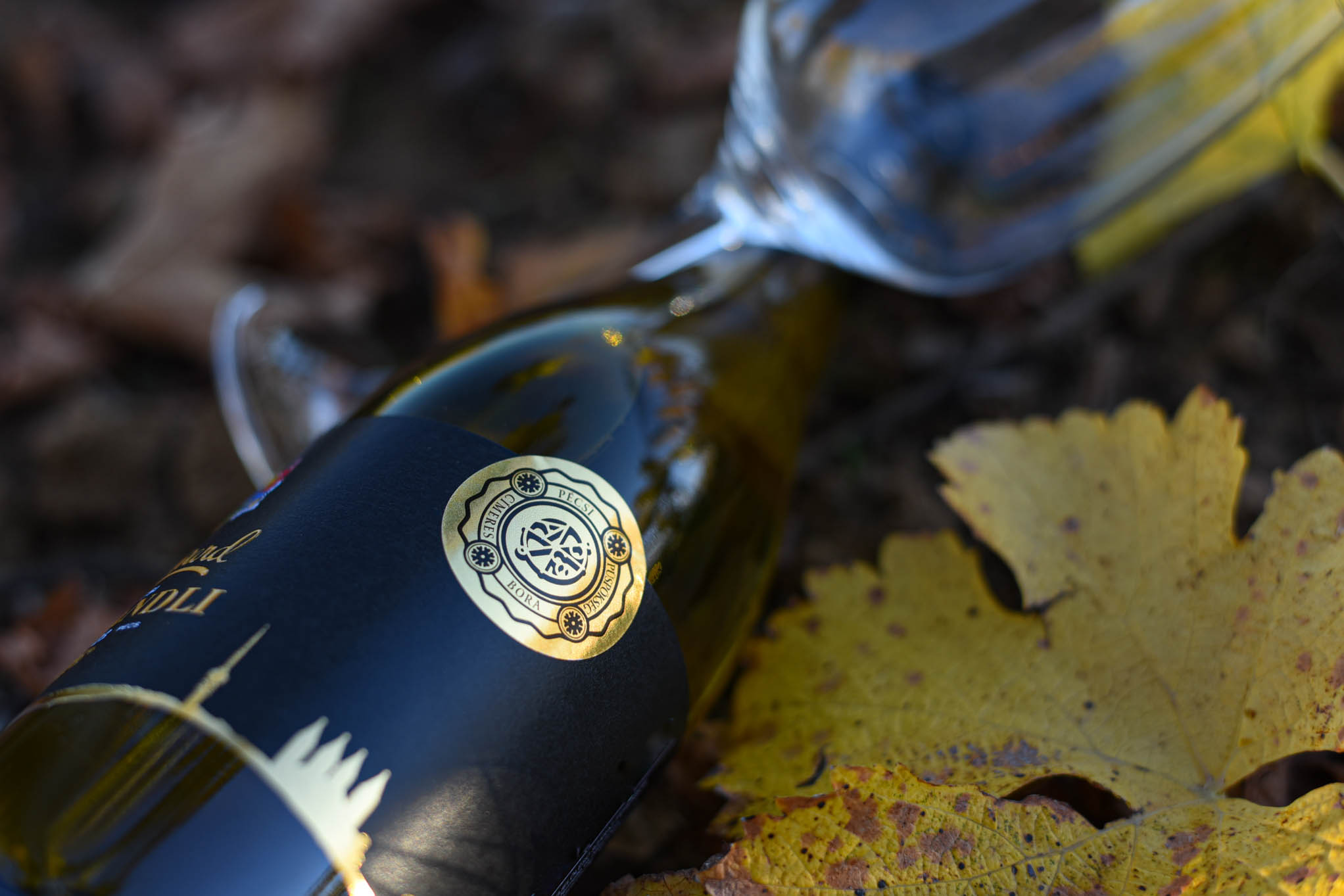 szi_boros_fotzs_2024_1-7188