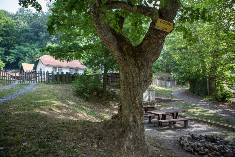 3_pszl_tajhaz_pic07 (1)