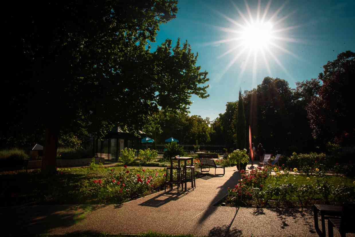 RÓZSAKERT BISZTRÓ (3)