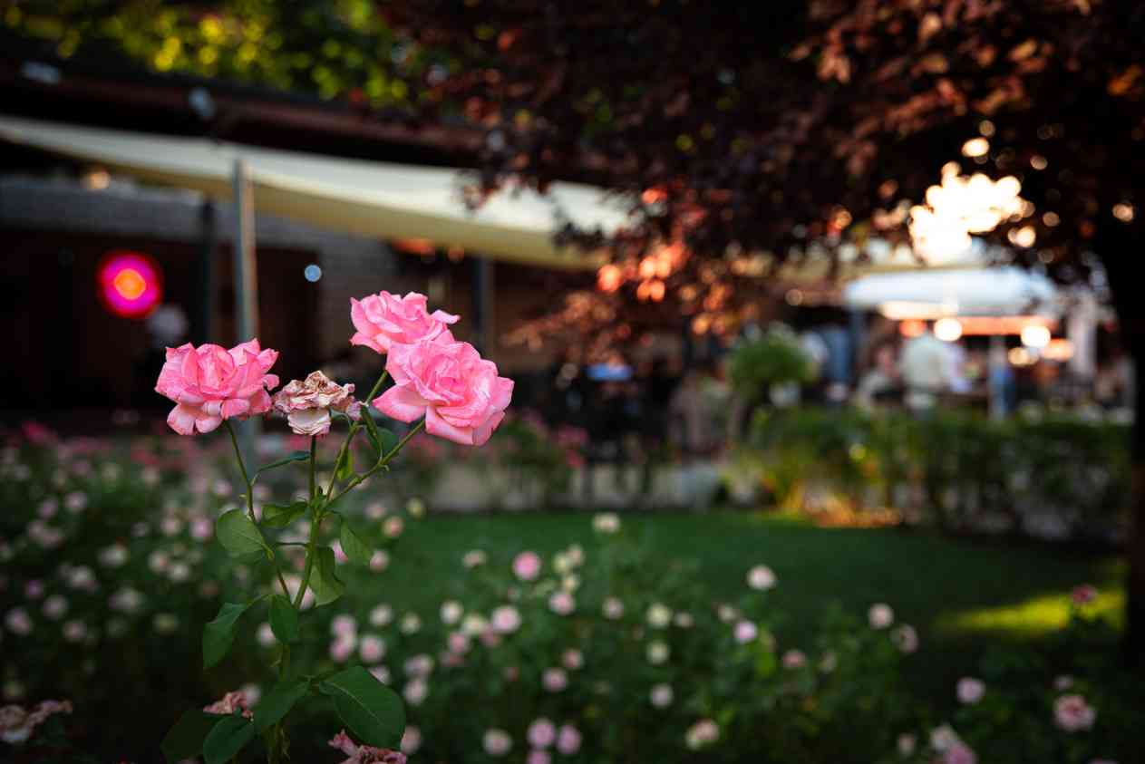 RÓZSAKERT BISZTRÓ (5)