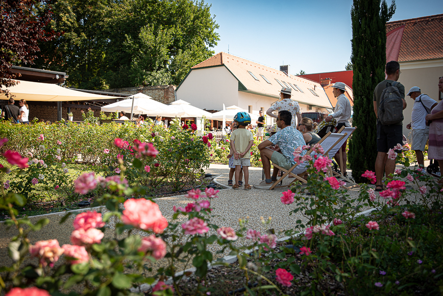 Kovász kis képek RK hangulat -4879