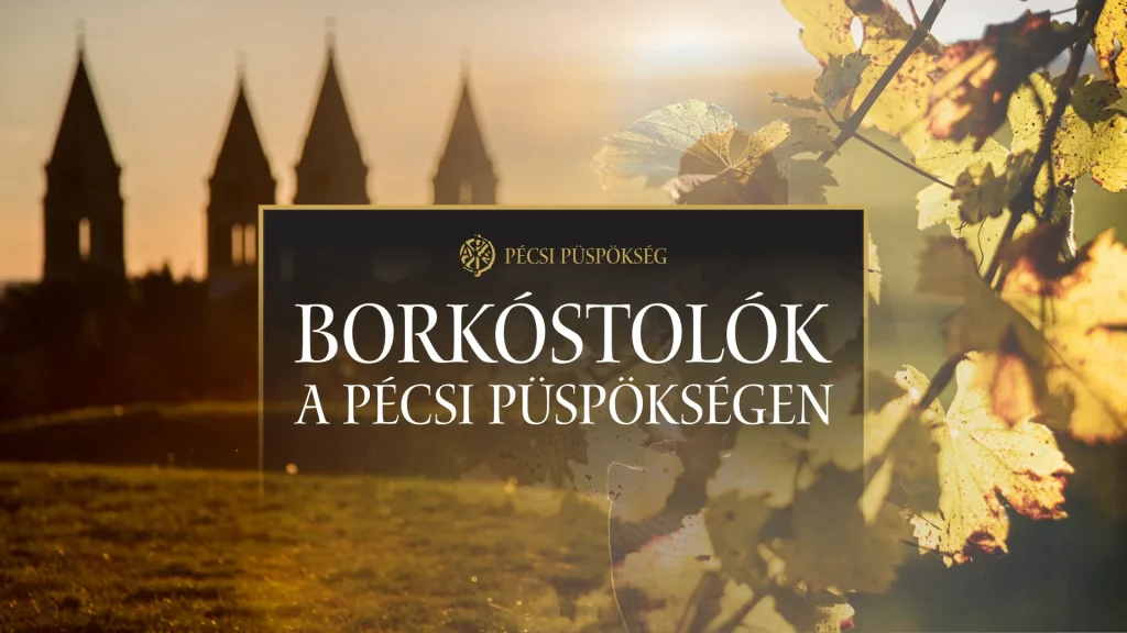 Egyéni borkóstolók a Pécsi Püspökségen